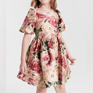 Rare Editions Big Girls Floral Print Dress(Size 16)